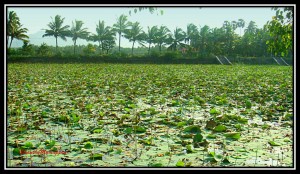 லப்டப் கிராமம்!