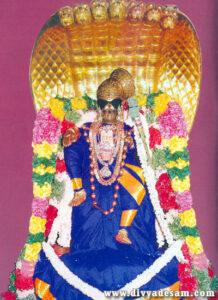 golden-sesha-vaganam