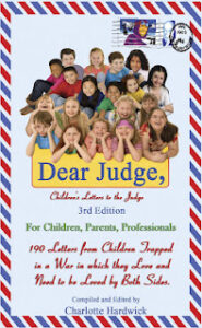 Dear_Judge_book