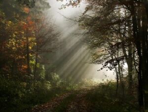 philosophy_light