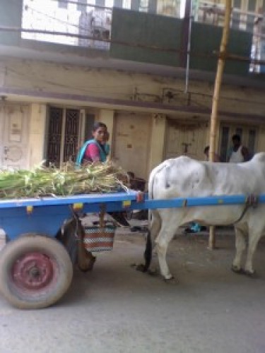 உழைப்புக்கேத்த ஊதியம்.. ஒழுக்கத்துக்கேத்த சேமிப்பு!