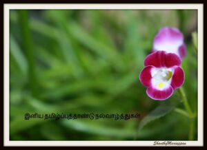 wishes with flower
