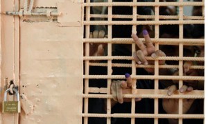 Iraqi prisoners show fingers after voting