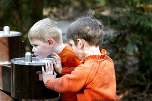 drinking-water-fountain