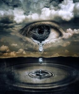 tears4
