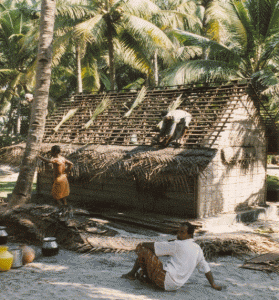 coastal-village-thatched-roof-house-construction