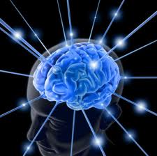 ibrainmages