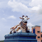 3surutta-AnERu1