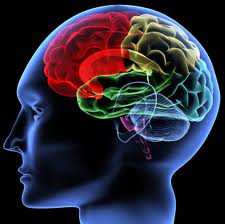 i-brainmages