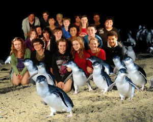 02-03-2010_028_1 Penguin Parade Phillip Island Camp