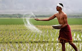 farmerimages