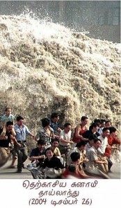 cover-image-tsunami-11