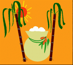 pongal4