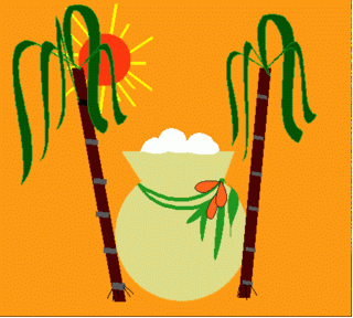 pongal4