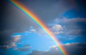 rainbowx