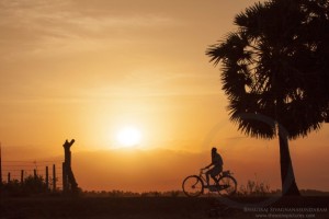 silhouette-of-a-man-riding-bicycle-with-a-cigarette-in-one-hand-at-sunset-sri-lanka