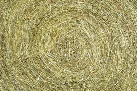 hay-index