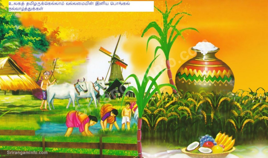 pongreet11-1024x604.jpg