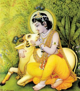 Cute cow and Krishna