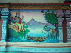 DSC00151