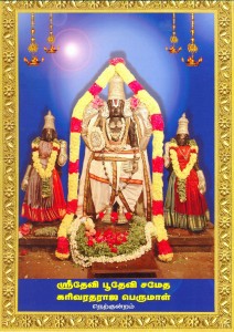 kari_varadar
