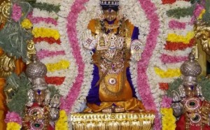mambalamramar2
