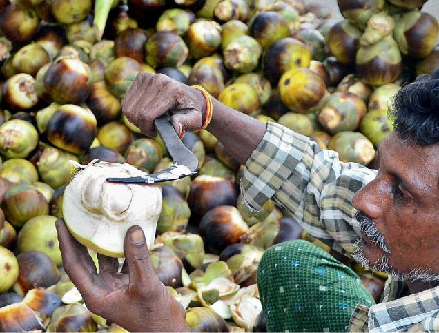 கடந்த காலத்தின் நுங்கு