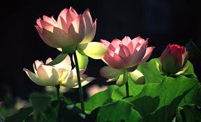images (3)