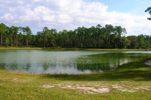 pond for kural