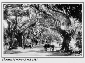 Chennai Moubray Road-1885