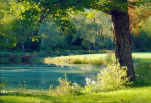 Pond