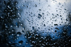raindrops