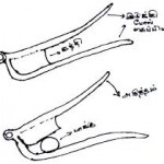 பாக்குவெட்டி2