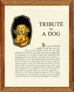 dog_tribute_frame