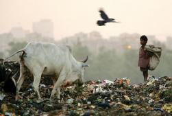 WastepickersDelhi