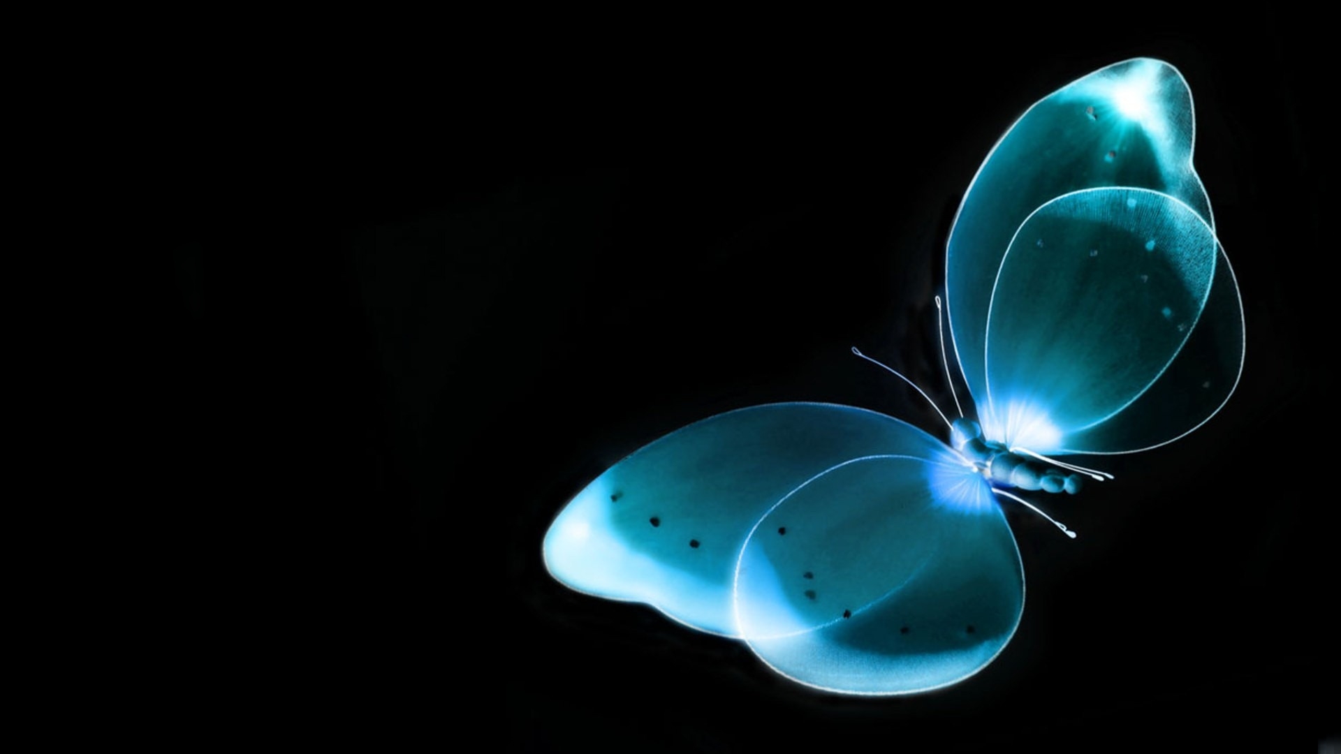 desktop-backgrounds-1920x1080-butterfly