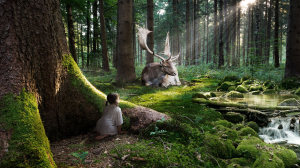 forest_dream_hd