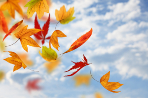 istock_000009756153xsmall