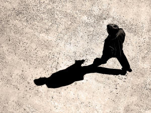 manwithshadow