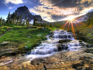 nature