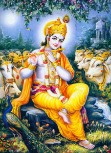 1443Krishna