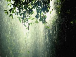 rain