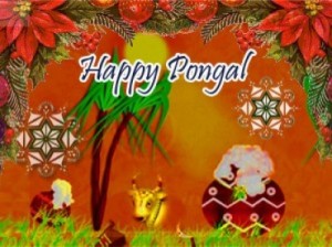 Happy-Pongal-wallpaper-e1357883015898