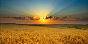 Makar-Sankranti-2015-Dates-810x405