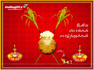 Pongal