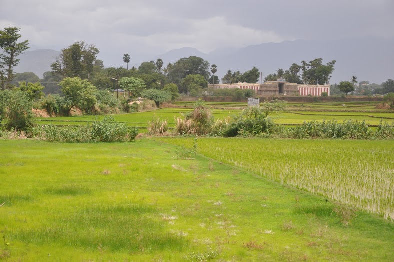 நன்றி:கே.வி. அன்னபூர்ணா