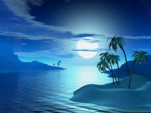 tropic_night