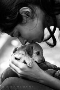 dog my darling