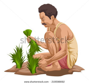 farmer