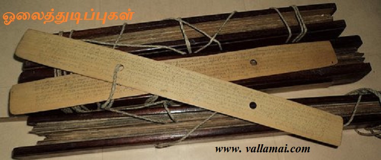 ஓலைத்துடிப்புகள் (6)